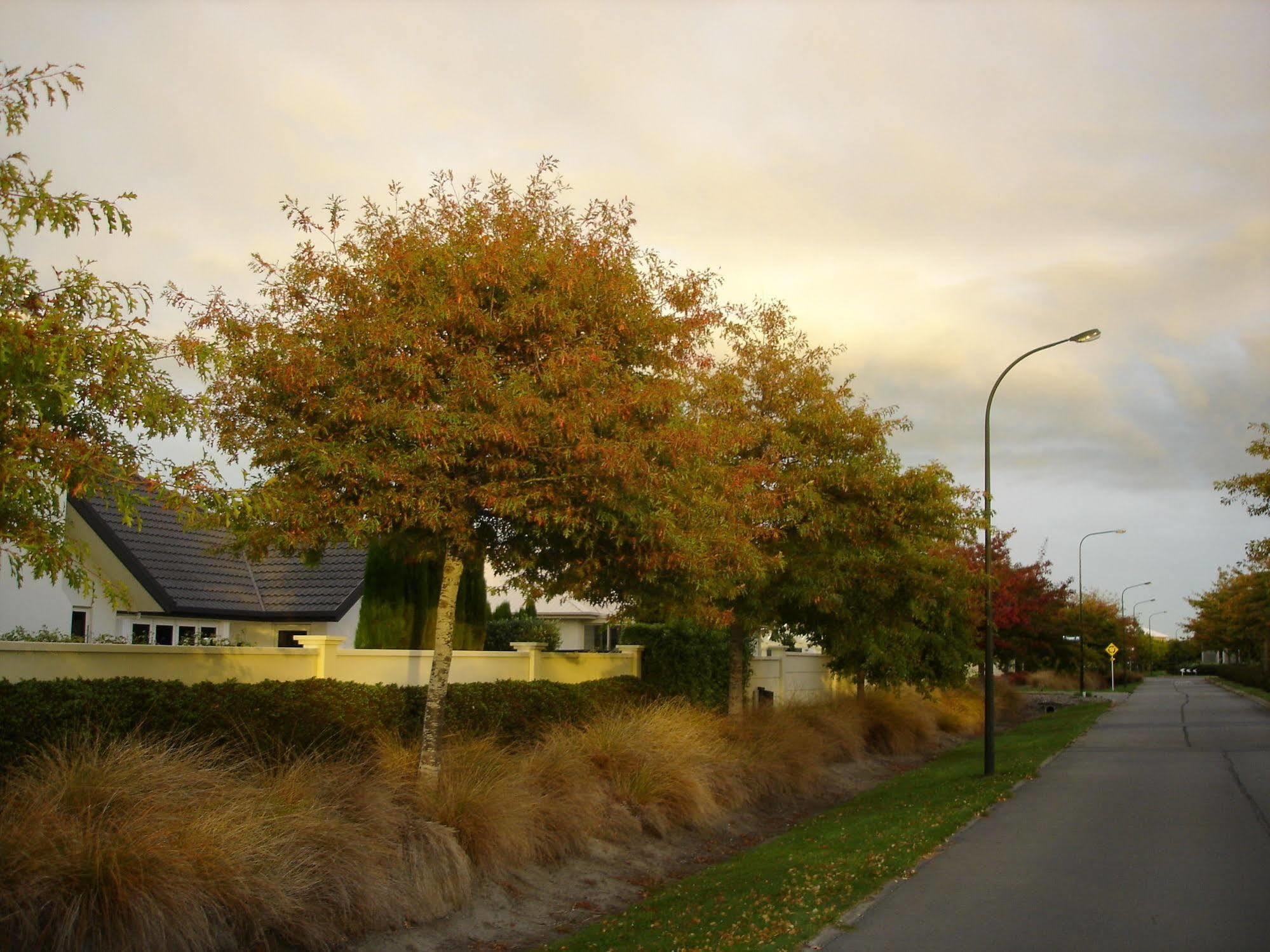 The White House B&B Christchurch Exterior photo